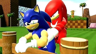 Sonic and knuckles lady-love